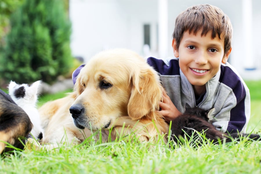 Unexpected benefits of getting a pet for your child